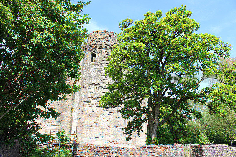 图片Nunney城堡废墟，靠近Frome, Somerset, England, UK